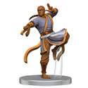 Pathfinder Battles - Painted Miniatures - Fists of the Ruby Phoenix - Contenders and Champions Set