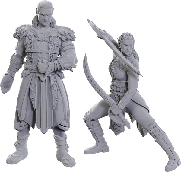D&D - Unpainted Miniatures - Nolzur's Marvelous Miniatures - Baldur's Gate 3 - Jaheira & Halsin