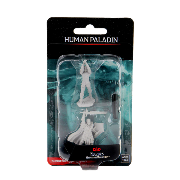 D&D - Nolzur's Marvelous Unpainted Miniatures - Human Male Paladin
