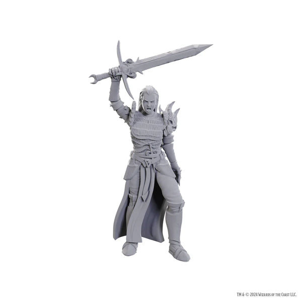 D&D - Unpainted Miniatures - Nolzur's Marvelous Miniatures - Blackguard