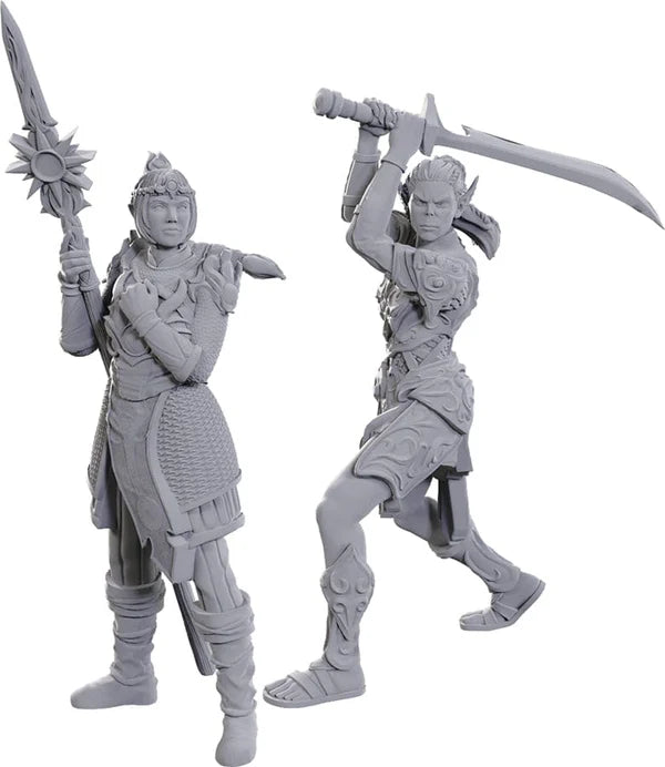D&D - Unpainted Miniatures - Nolzur's Marvelous Miniatures - Baldur's Gate 3 - Lae'zel & Shadowheart