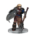 Pathfinder Battles - Painted Miniatures - Fists of the Ruby Phoenix - Contenders and Champions Set