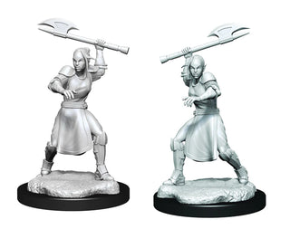 Critical Role - Unpainted Miniatures - Half-Elf Echo Knight and Echo Female