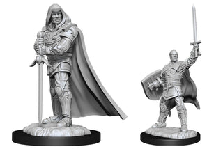 D&D - Nolzur's Marvelous Unpainted Miniatures - Human Male Paladin