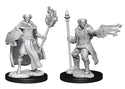 D&D - Nolzur's Marvelous Unpainted Miniatures - Multiclass Cleric + Wizard