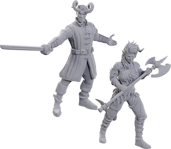 D&D - Unpainted Miniatures - Nolzur's Marvelous Miniatures - Baldur's Gate 3 - Wyll & Karlach