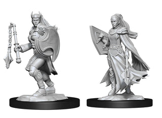 D&D - Nolzur's Marvelous Unpainted Miniatures - Kalashtar Cleric Female