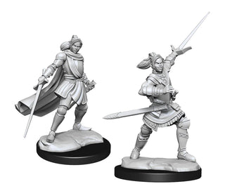 Critical Role - Unpainted Miniatures - Half-Elf Paladin Xhorhas Female