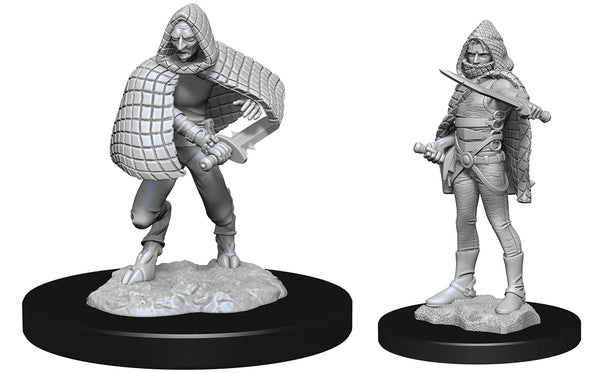 D&D - Nolzur's Marvelous Unpainted Miniatures - Darkling Elder & Darklings