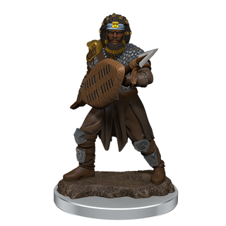 D&D - Icons of the Realms - Premium Painted Miniatures - Male Human Fighter