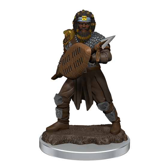 D&D - Icons of the Realms - Premium Painted Miniatures - Male Human Fighter