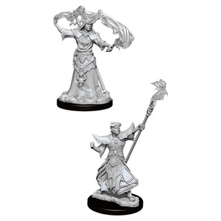 Pathfinder Deep Cuts Unpainted Miniatures - Male Human Sorcerer