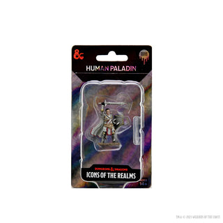 D&D - Icons of the Realms - Premium Painted Miniatures - Male Human Paladin