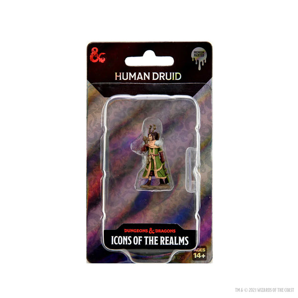 D&D - Icons of the Realms - Premium Painted Miniatures - Female Human Druid