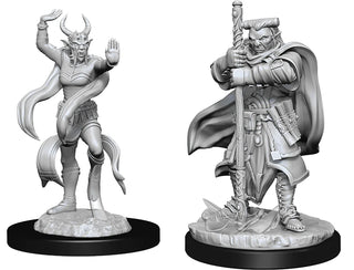 D&D - Nolzur's Marvelous Unpainted Miniatures - Hobgoblin Devastator & Ironshadow