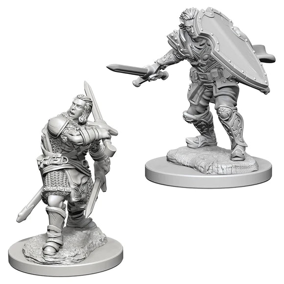 D&D - Nolzur's Marvelous Unpainted Miniatures - Human Male Paladin