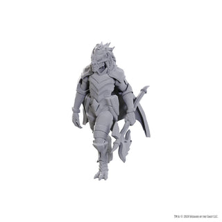D&D - Unpainted Miniatures - Nolzur's Marvelous Miniatures - Dragonborn of Tiamat