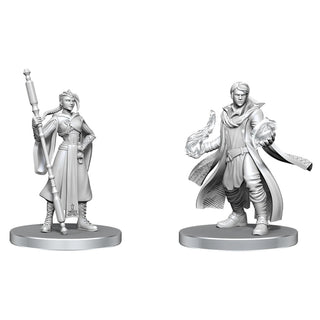 Critical Role - Unpainted Miniatures - Beauregard Lionett & Caleb Widogast