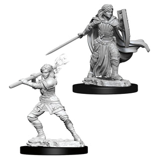 D&D - Nolzur's Marvelous Unpainted Miniatures - Human Female Paladin