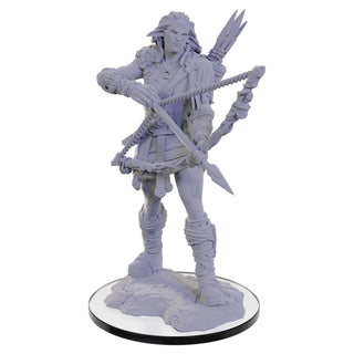 D&D - Nolzur's Marvelous Unpainted Miniatures - Wood Giant