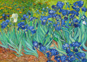 Van Gogh: Irises - Jigsaw Puzzle (1000 Pcs.)