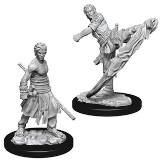 D&D - Nolzur's Marvelous Unpainted Miniatures - Half-Elf Male Monk