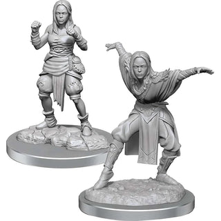 Pathfinder Deep Cuts - Unpainted Miniatures - Half-Elf Monk Females