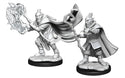 Critical Role - Unpainted Miniatures - Hobgoblin Wizard and Druid Male
