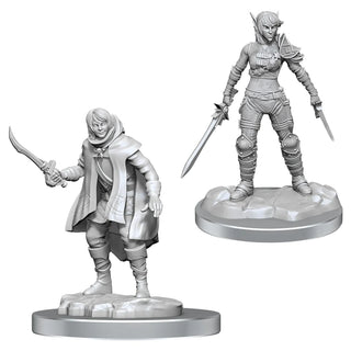 D&D - Nolzur's Marvelous Unpainted Miniatures - Elf Rogue & Half-Elf Rogue Protégé