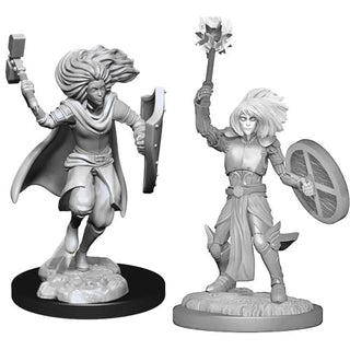 D&D - Nolzur's Marvelous Unpainted Miniatures - Changeling Cleric Male