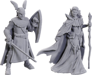D&D - Icons of the Realms - Limited Edition 50th Anniversary - Elves