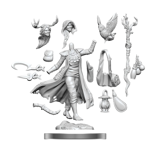 D&D - Frameworks Miniatures - Human Druid Female