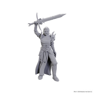 D&D - Unpainted Miniatures - Nolzur's Marvelous Miniatures - Blackguard