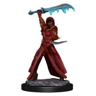 D&D - Icons of the Realms - Premium Painted Miniatures - Human Female Rouge