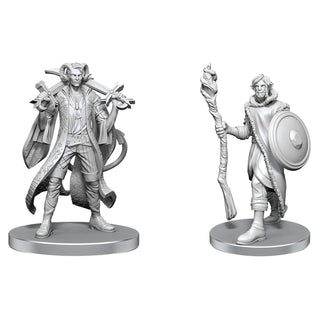 Critical Role - Unpainted Miniatures - Mollymauk Tealeaf & Caduceus Clay