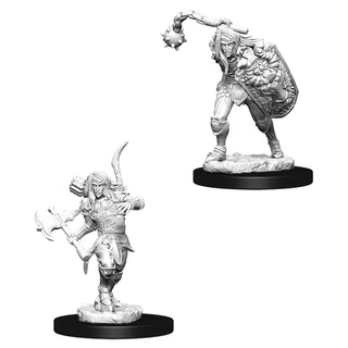 Pathfinder Deep Cuts Unpainted Miniatures - Male Elf Fighter
