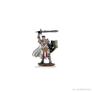 D&D - Icons of the Realms - Premium Painted Miniatures - Male Human Paladin