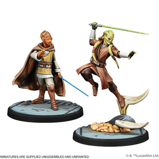 Star Wars Shatterpoint - Requesting Your Surrender Squad Pack