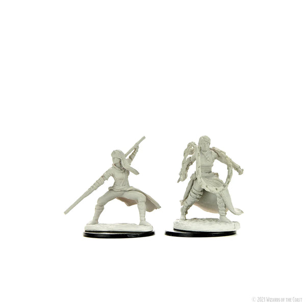 D&D - Nolzur's Marvelous Unpainted Miniatures - Human Monk Female