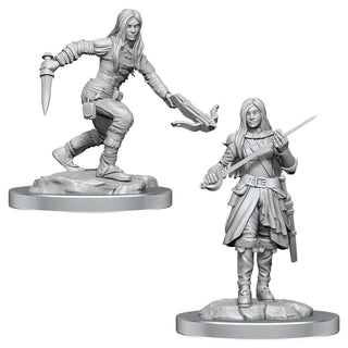 D&D - Nolzur's Marvelous Unpainted Miniatures - Half-Elf Rogue Female