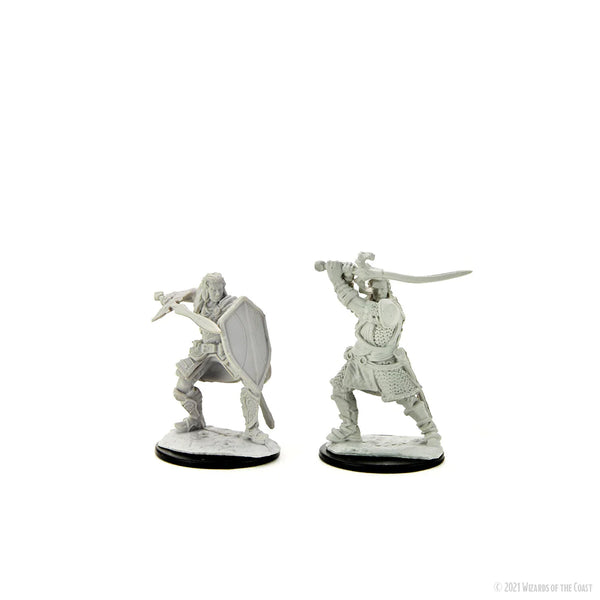 D&D - Nolzur's Marvelous Unpainted Miniatures - Human Paladin Male