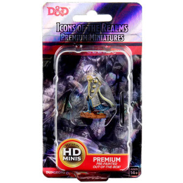 D&D - Icons of the Realms - Premium Painted Miniatures - Male Elf Cleric