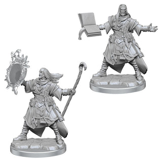 Pathfinder Battles - Legendary Cuts - Human Wizard Male