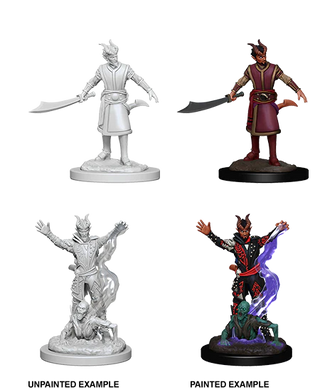 D&D - Nolzur's Marvelous Unpainted Miniatures - Tiefling Male Warlock