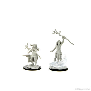 D&D - Nolzur's Marvelous Unpainted Miniatures - Human Druid Female