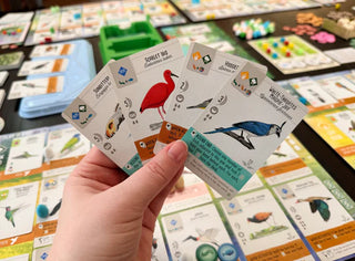 Wingspan - Americas Expansion