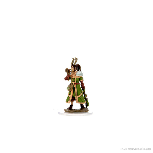 D&D - Icons of the Realms - Premium Painted Miniatures - Female Human Druid