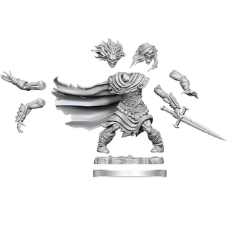 D&D - Frameworks Miniatures - Wight