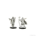 D&D - Nolzur's Marvelous Unpainted Miniatures - Human Druid Male