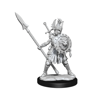 D&D - Frameworks Miniatures - Human Fighter Female